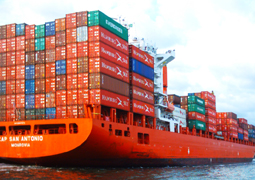Navio